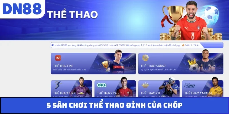 5 sân chơi thể thao đỉnh của chóp